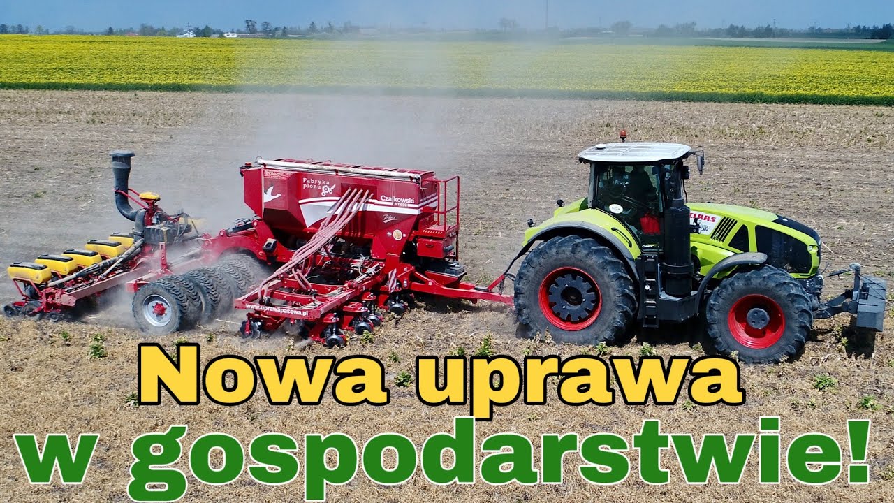#325- Siew pasowy kukurydzy! Czajkowski ST 600+ Claas Axion 950- Moja pierwsza kukurydza!