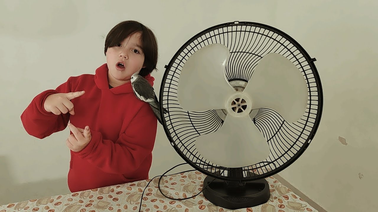 Ventilador de parede VENTI-DELTA em ventilador de mesa 