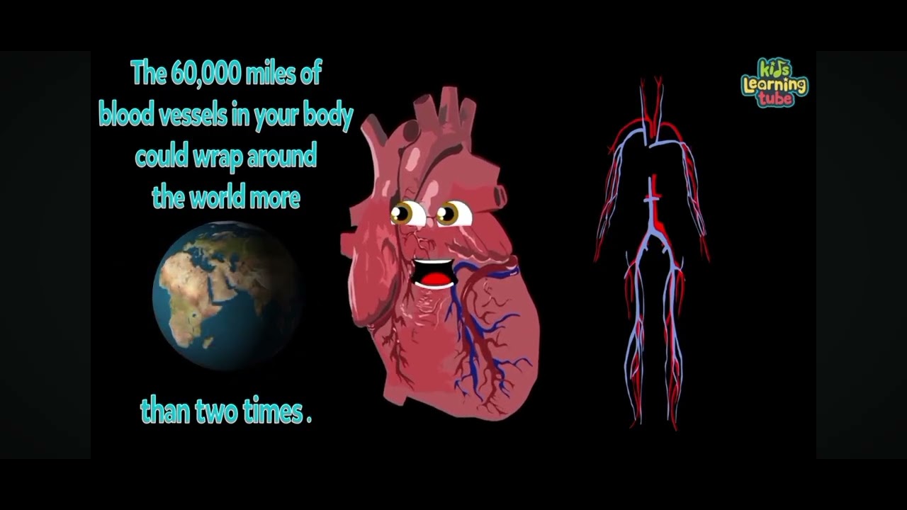 Heart in reverse