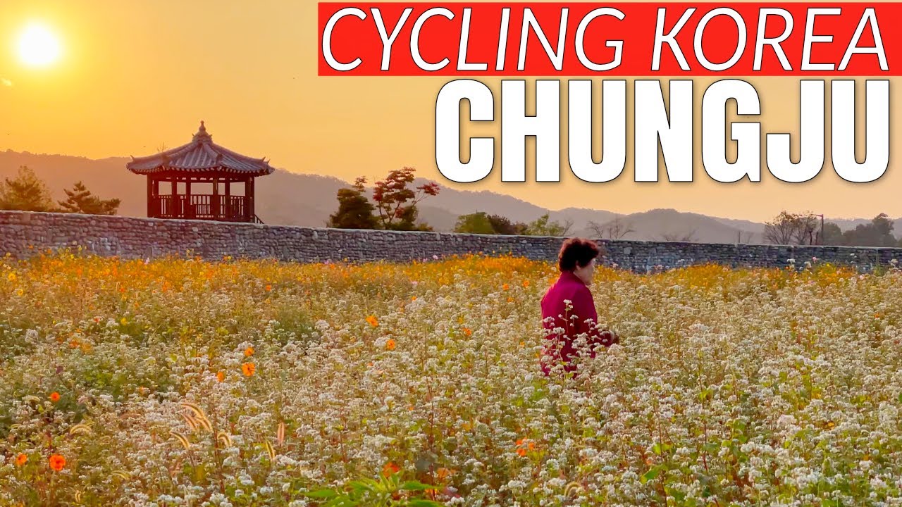 Exploring Chungju City - Cycling Korea Four Rivers Day 7