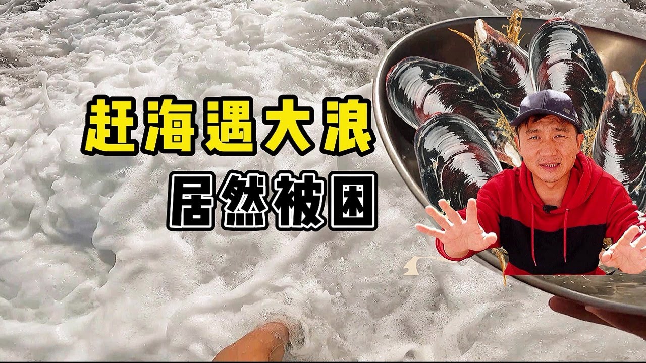 《环球探海记》阿曼 第38天：今天赶海居然遇到大浪，被困回不去 ！   #真实赶海记录#阿曼旅行#马西拉岛