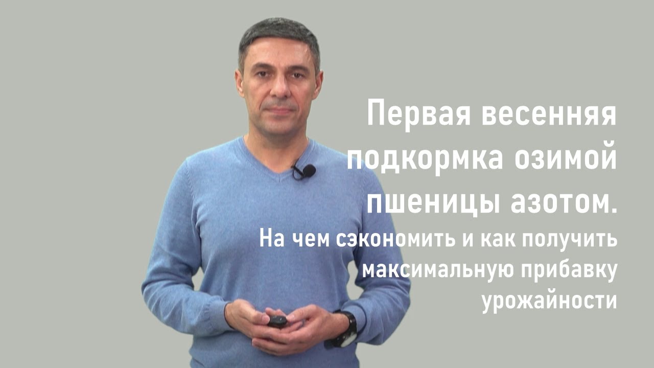 1-я весенняя подкормка N оз. пшеницы. На чем сэкономить и как получить прибавку урожайности