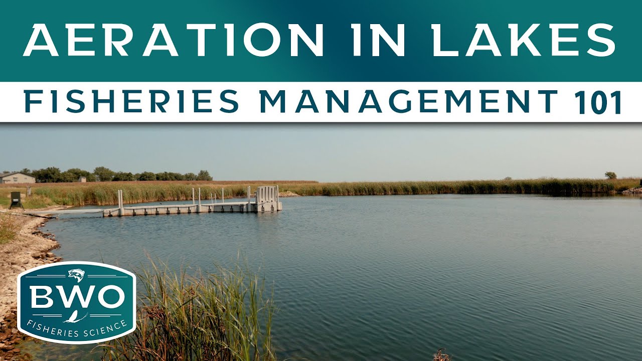 Why Put Aeration in Lakes? - Fisheries Science 101