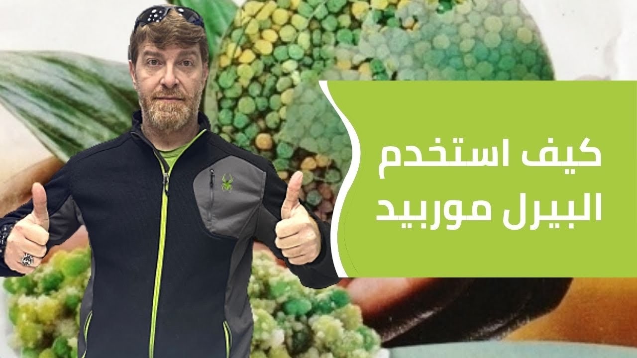 How to use Perle morbide for canaries in season كيف تستخدم البيرل موربيد لطيور الكناري في الموسم
