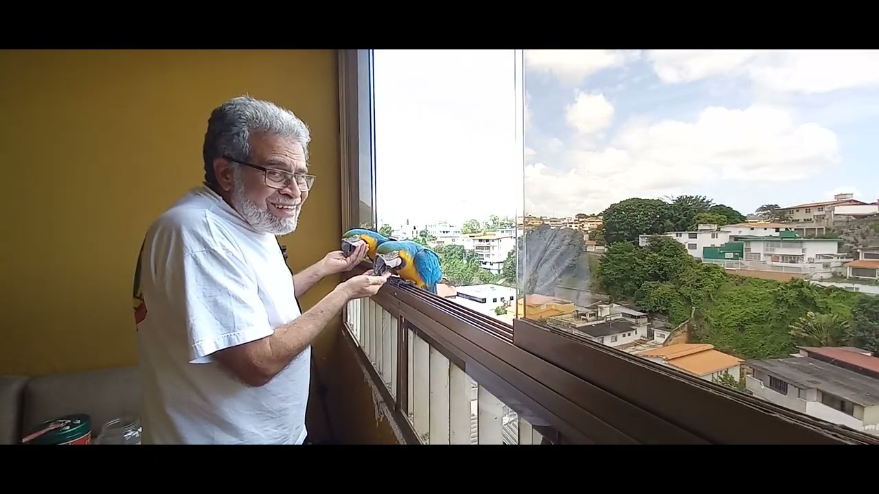 Guacamayas Caraqueñas - El Dia del Padre 2025