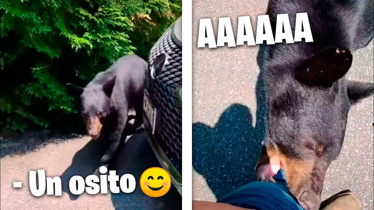 NO ES LO QUE PARECE... bueno quizá si D: