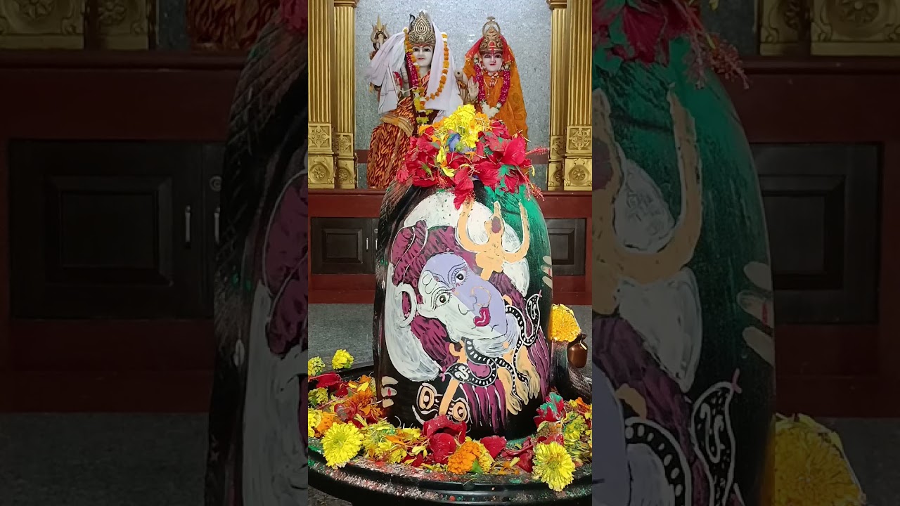 दुर्गा चालीसा पाठ सनातन धर्म प्रचार प्रसार में सहायक भक्तों से जय माता दी 