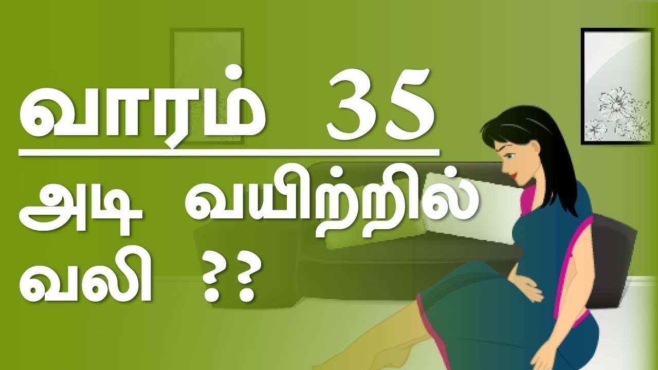 The Pregnancy | week  by week | Tamil | Week 35
