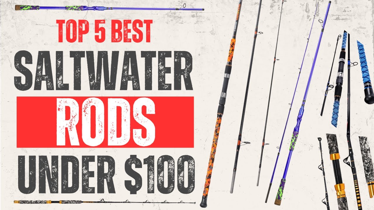 Stop Overpaying! Top 5 Best Saltwater Rods UNDER $100 (2026)