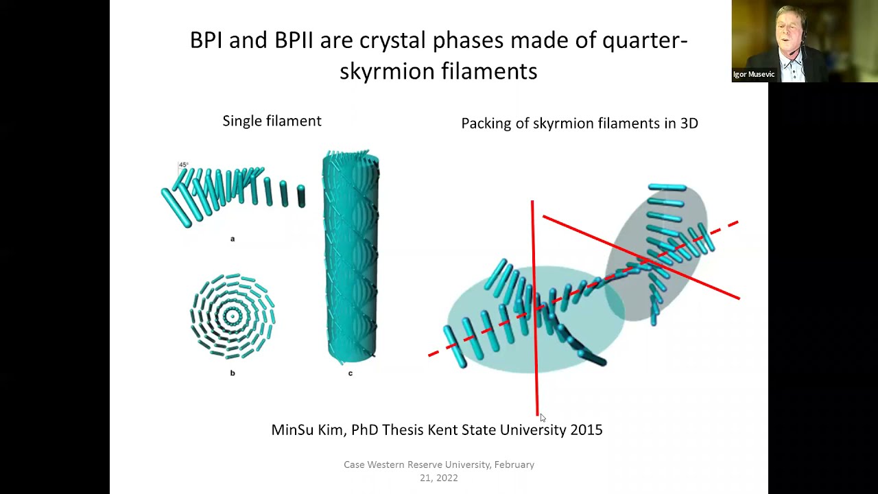 Skyrmions in Blue Phases of Chiral Liquid Crystals | Igor Musevic (Jožef Stefan Institute)