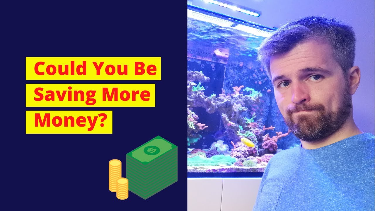 Save Money On Reef Aquarium Equipment