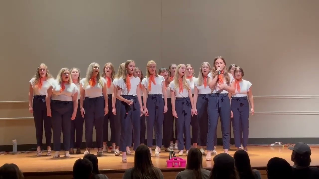 Somebody That I Used to Know by GOTYE - A Cappella cover by MelAUdic