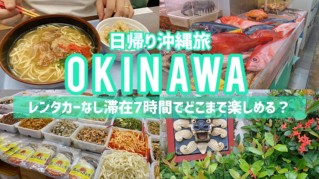 【Vlog】沖縄🌺那覇市のみ🏝️滞在7時間日帰り旅行✈️レンタカーなしゆいレールのみでどこまで楽しめる？