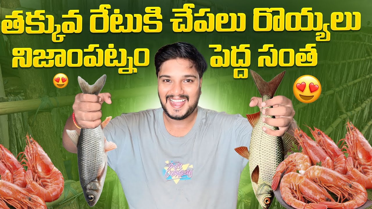Nizampatnam Fishing Harbour Andhra Pradesh 🌊 | Biggest Fish Market & Fresh Catch Auction