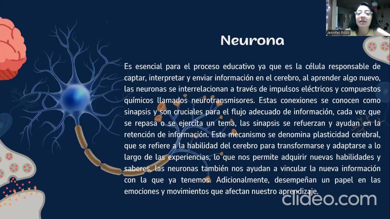Fundamentos Neurofisiologicos UTA 2026
