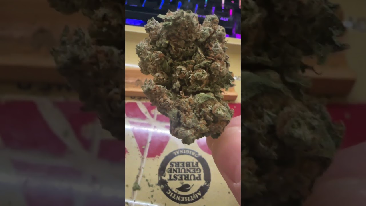 Magnifique Gorilla Glue CBD.