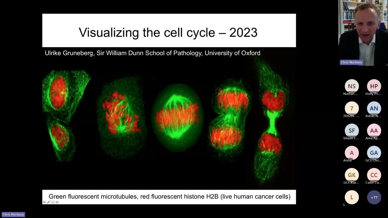 STEP inTO OxMed Virtual Seminar Series  'From Yeast and Frogs to Anti Cancer Drugs' with Prof Chris