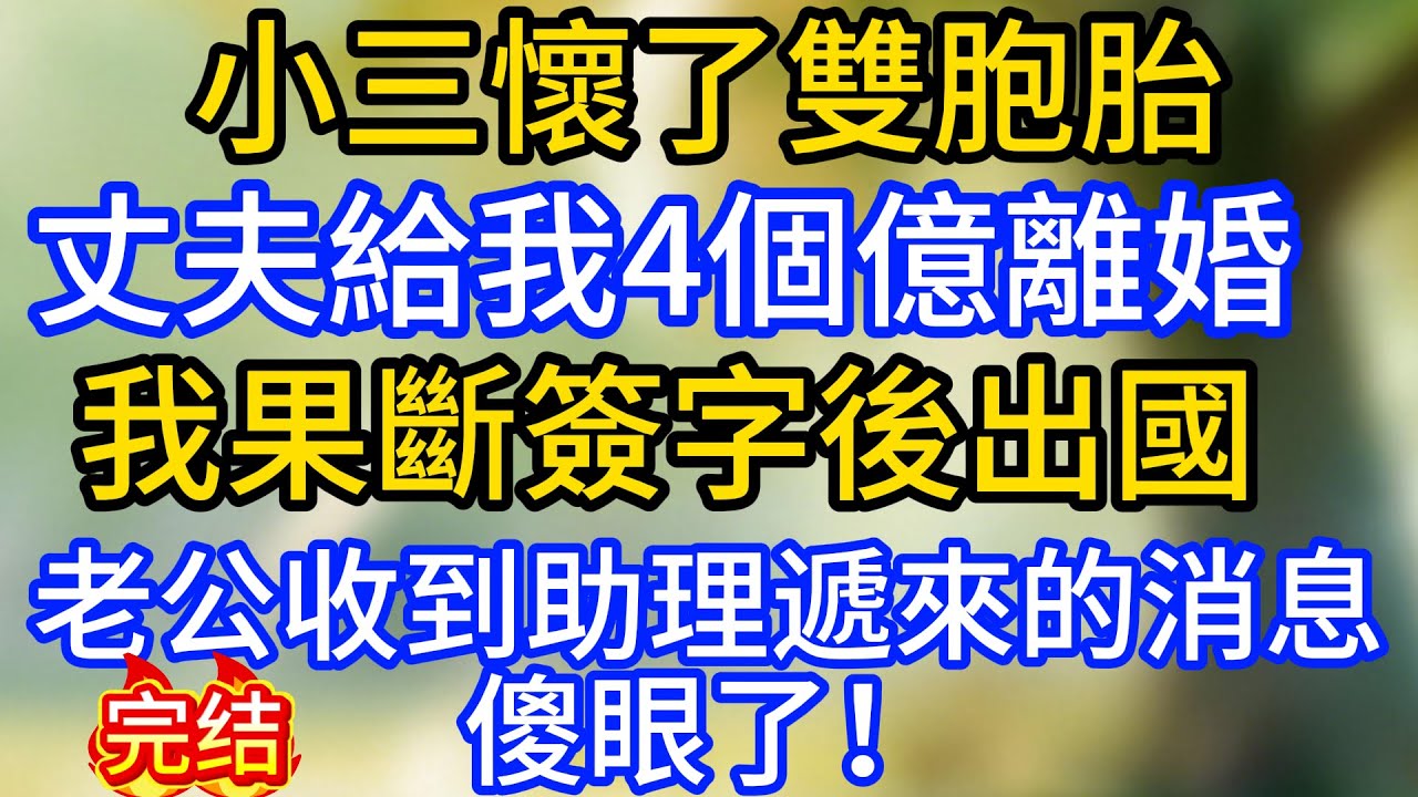 小三懷了雙胞胎，丈夫給我4個億離婚，我果斷簽字後出國，老公收到助理遞來的消息傻眼了！