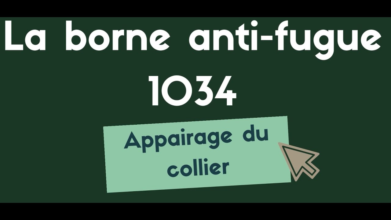 Borne anti fugue 1034 : Appairage du collier