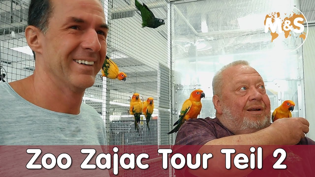 Zoo Zajac Tour Teil 2 | Stefan besucht Norbert | Reptil TV