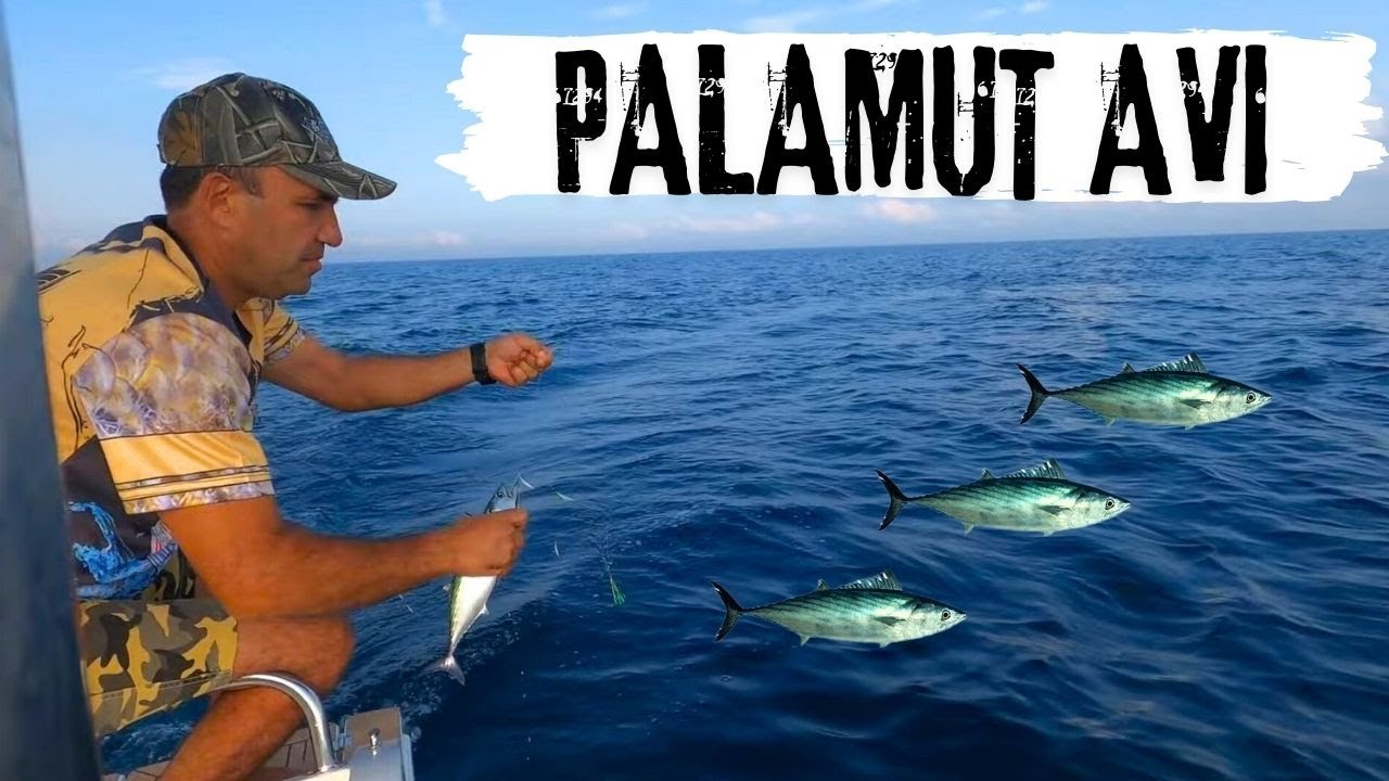Çapariler Koptu - Palamut Avı - Büyük Oynaklar - Karasu