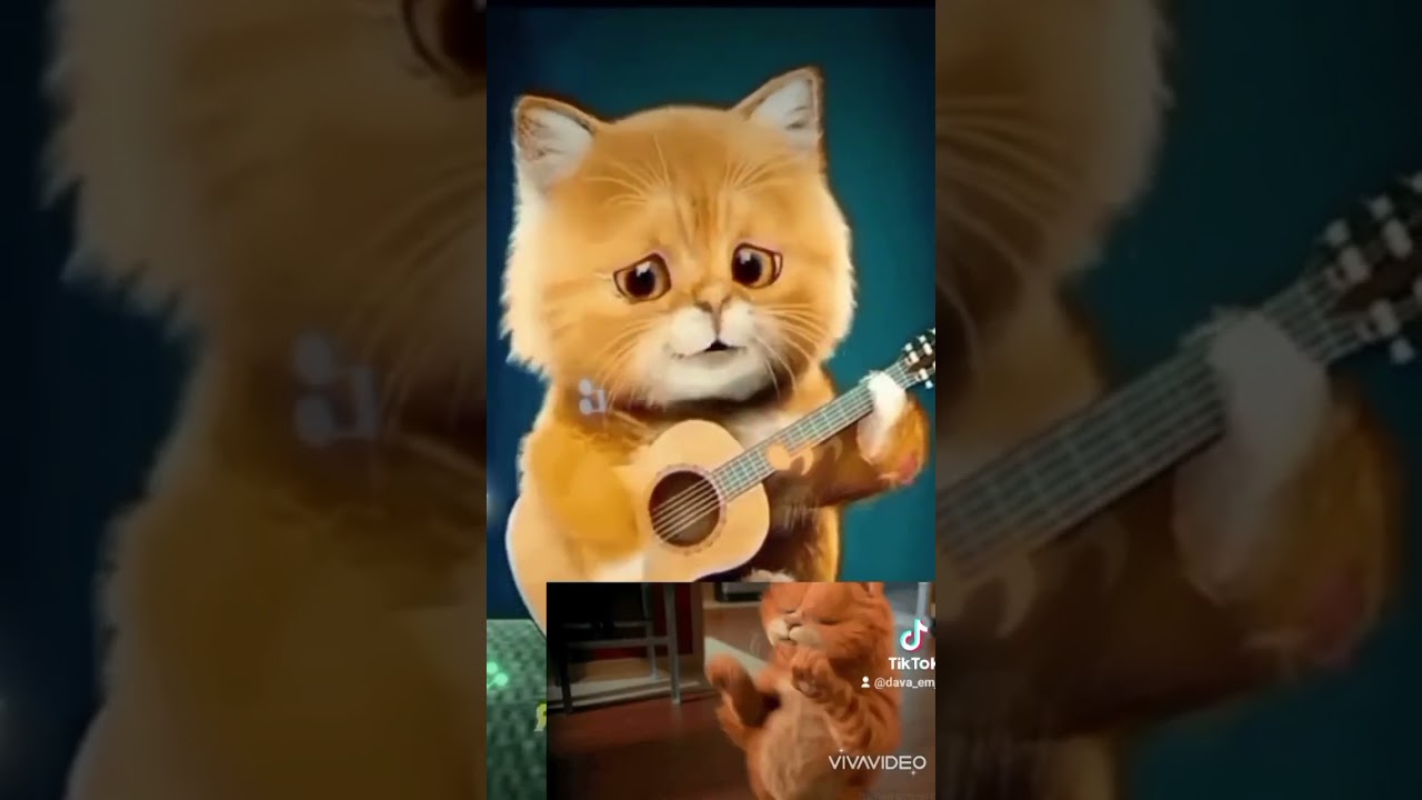 #котики #mrdave #tiktok