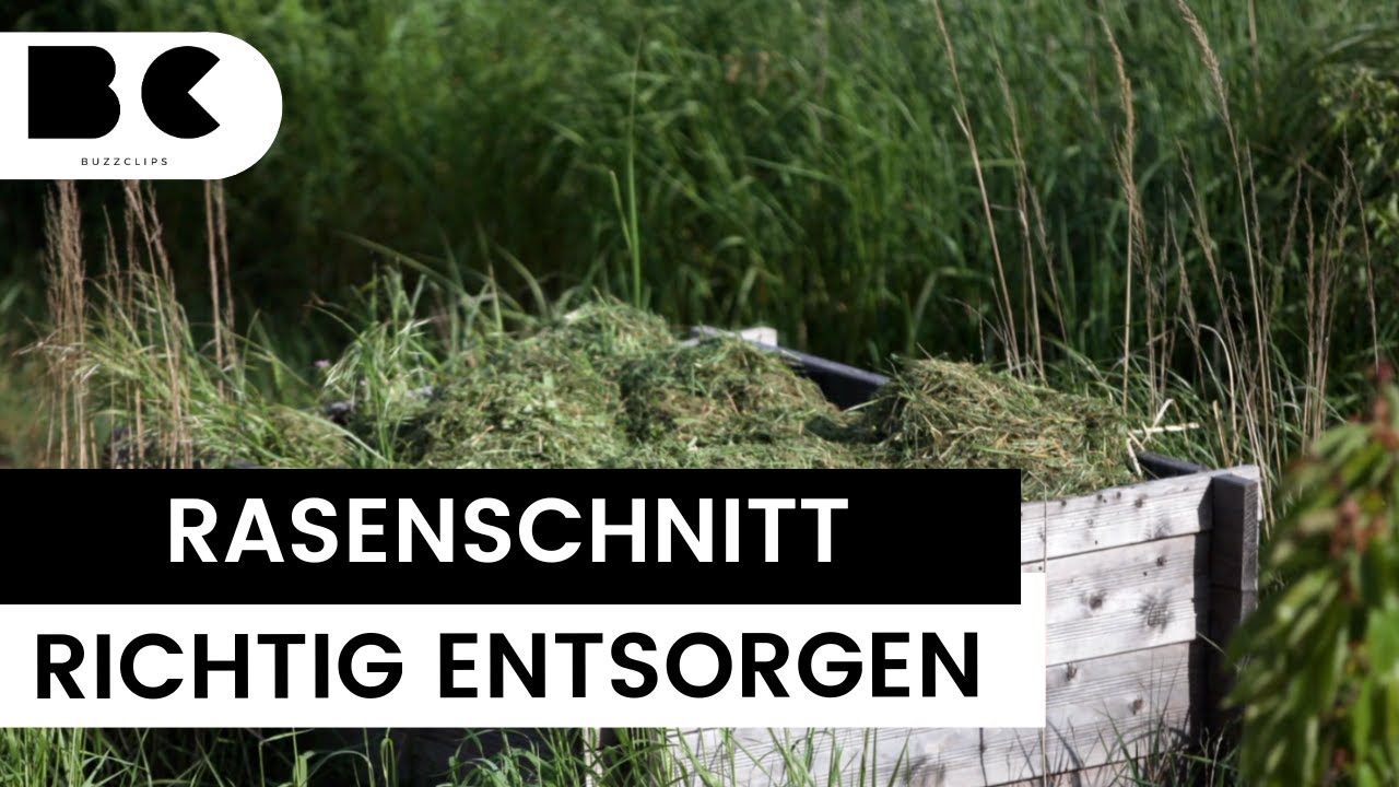 So entsorgen Sie Rasenschnitt richtig