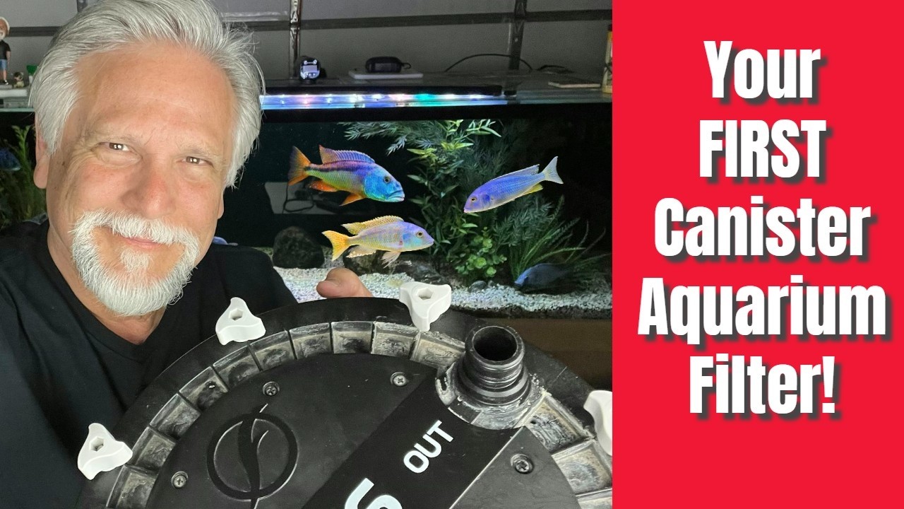 AQUARIUM CANISTER FILTERS *Everything You Need to Know!*
