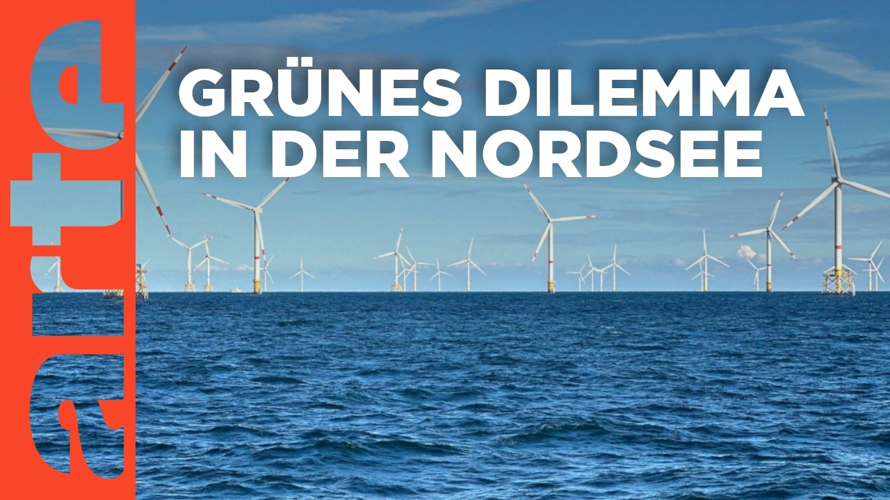 Windparks im Meer - Chance oder Risiko für die Natur? | Doku HD | ARTE