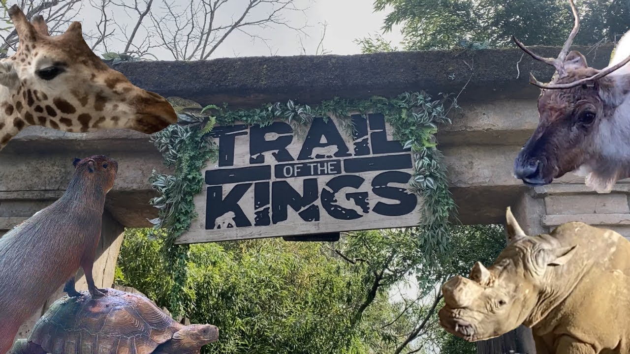 Chessington Zoo | All Animals 2024