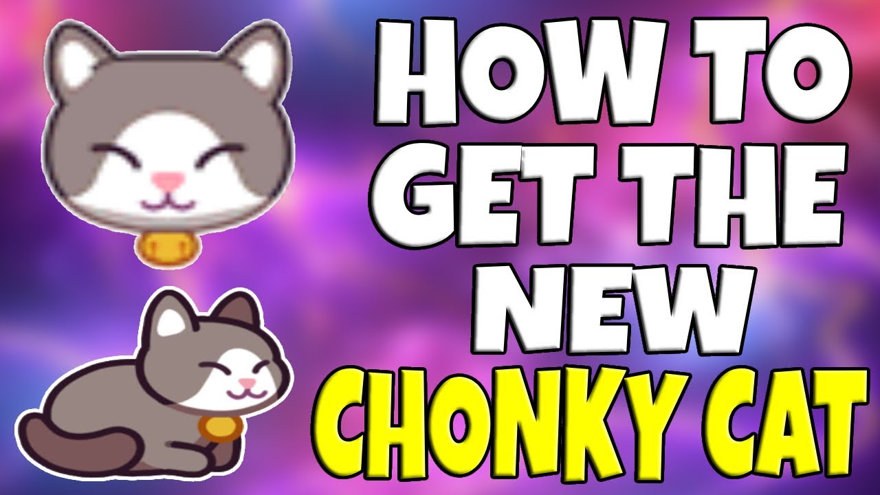Prodigy Math Game | How to Get the *NEW* Chonky Cat! (Teacher Reward)