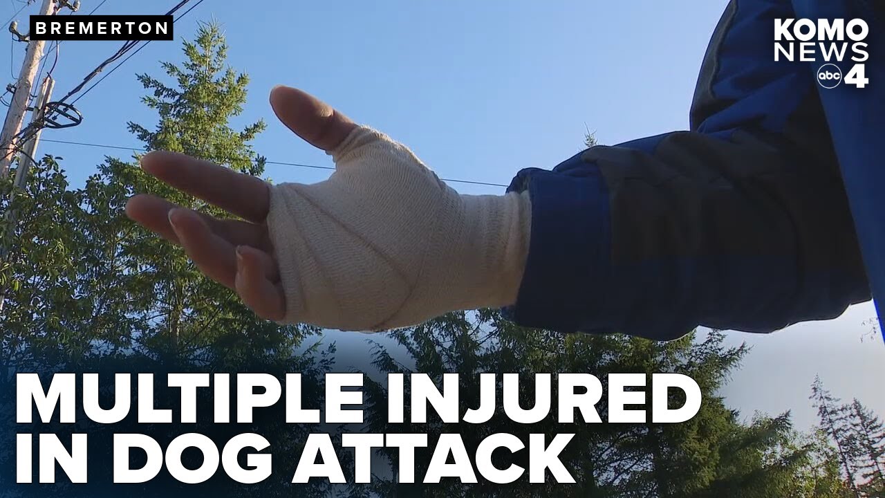 Pit bull attack leaves six people injured, pet dog dead in Bremerton