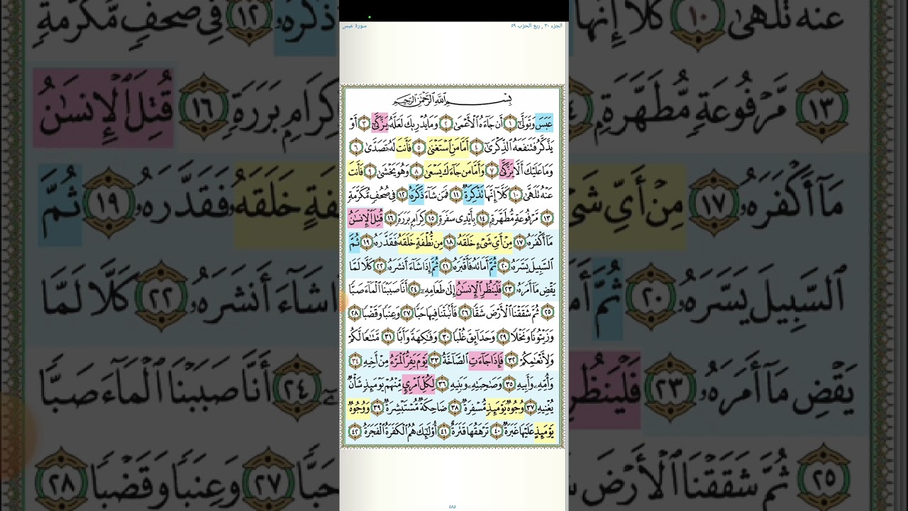 تثبيت وتربيط سورة عبس