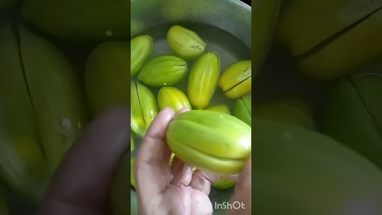 conserva de jiló