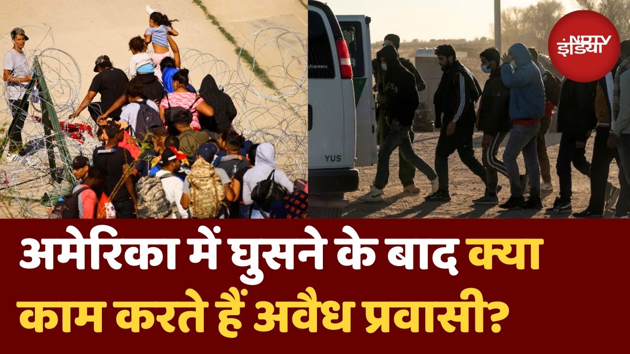 US Deportation News: Donkey Route से America पहुंचे भारतीय क्या काम करते हैं | Trump | Immigrants