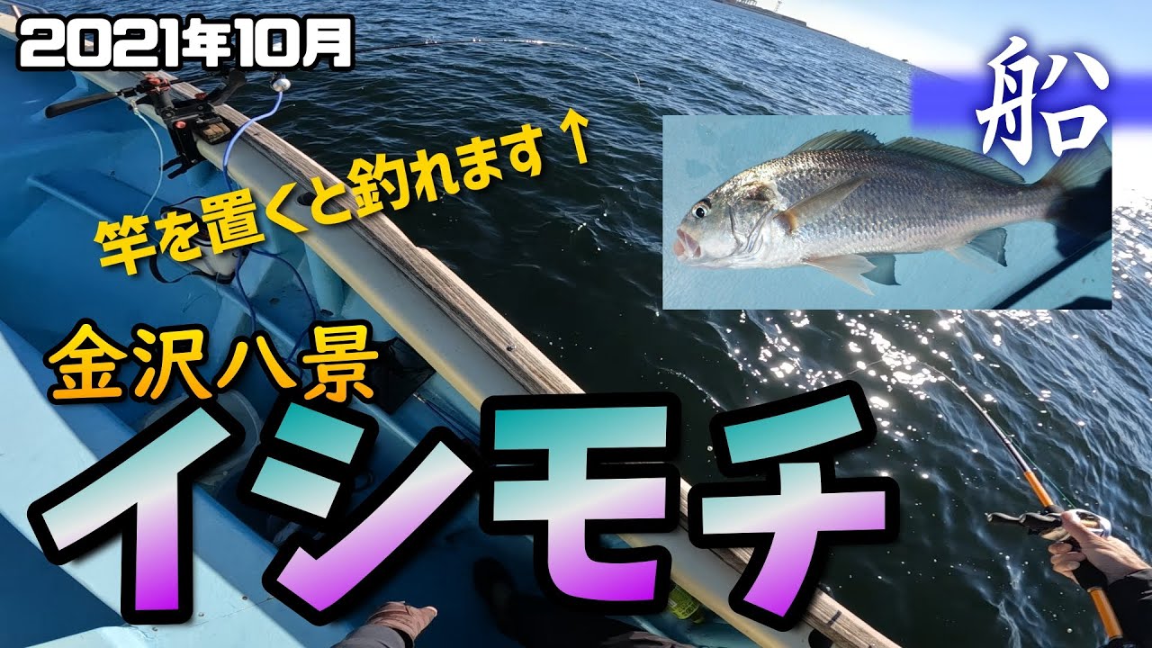 【船釣りアジ】10月！実はイシモチ身近な魚！東京湾でお手軽に！