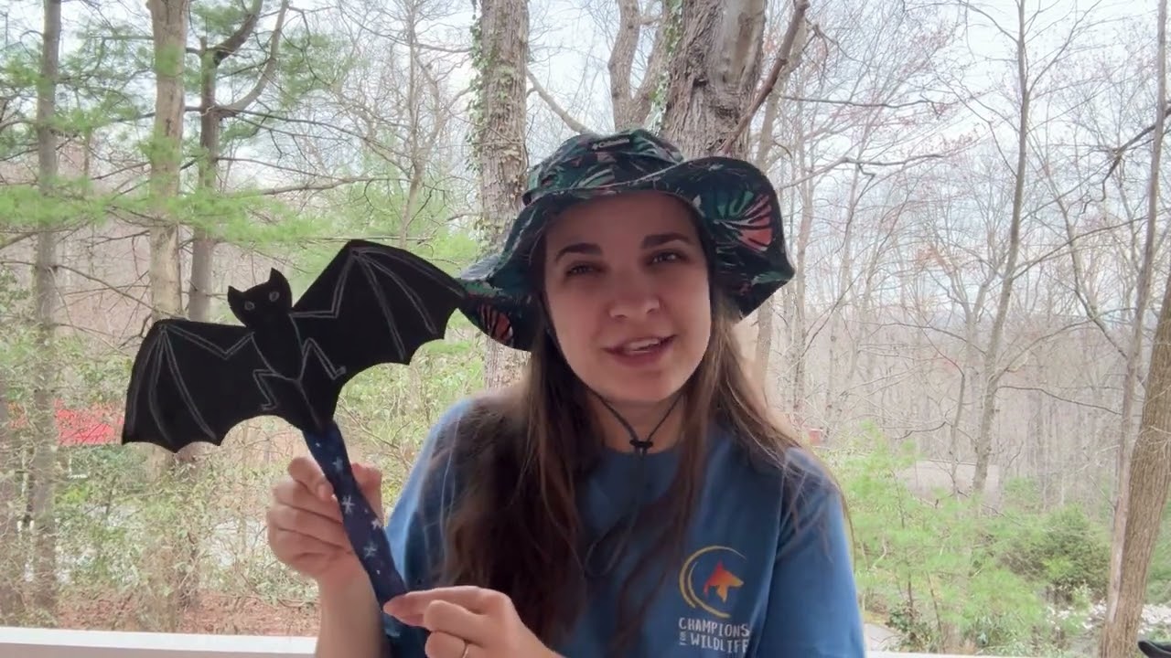 Bat Wands | Wildlife Crafts