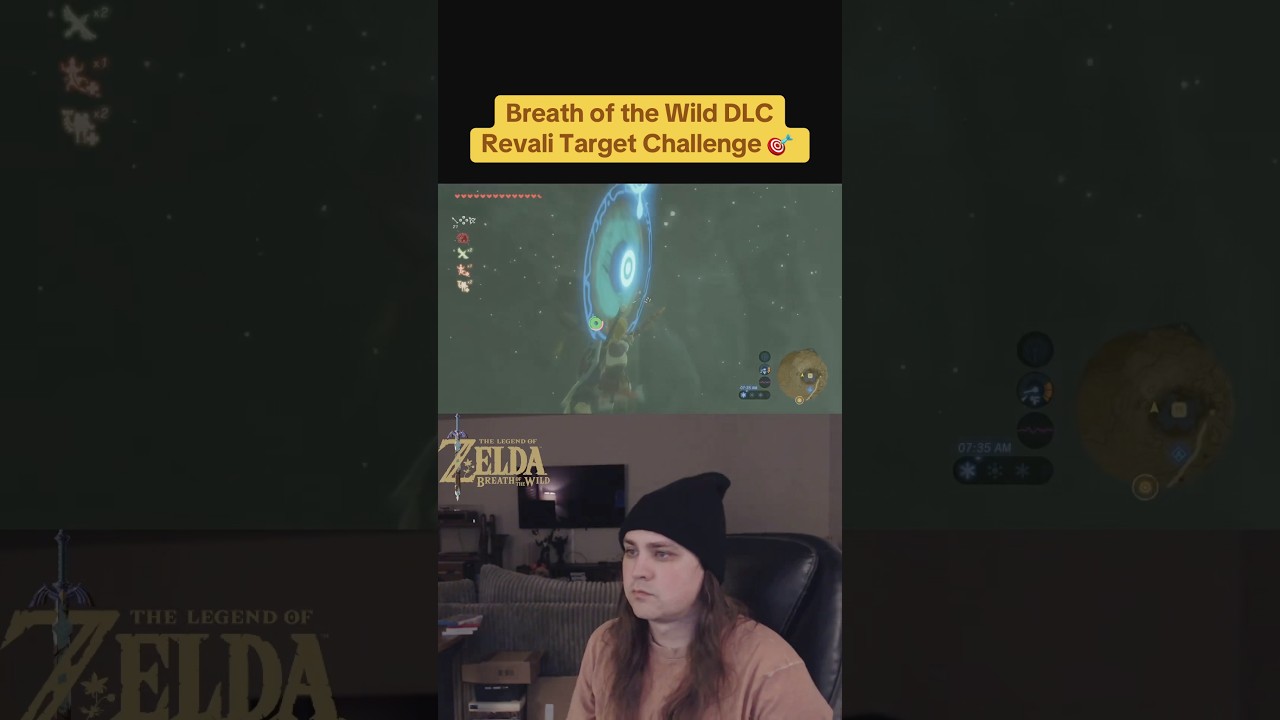 Zelda Breath of the Wild - DLC Revali Targets 🎯 