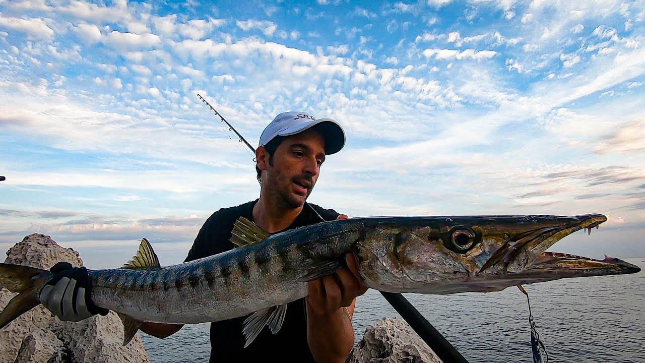 Un BARRACUDA MOSTRUOSO a shore jigging!!...e non solo / A monster barracuda!!...and not only!!