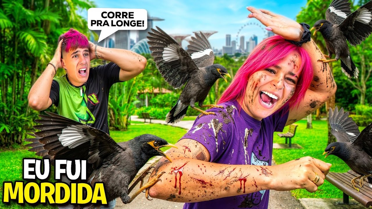UM PÁSSARO RARO ME MORDEU *ele chorou