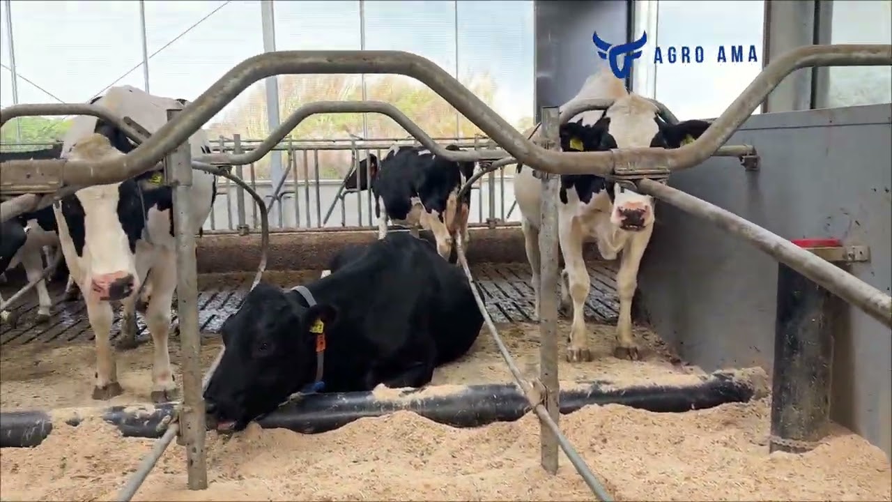 Agrafki FLEX- realizacje 