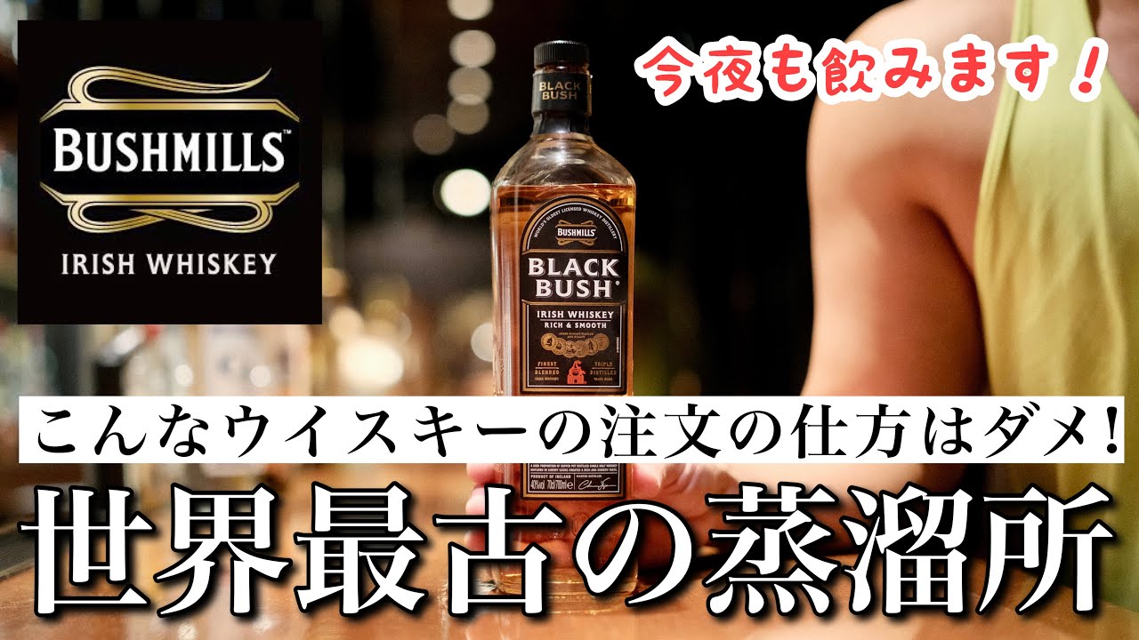 世界最古！？ウイスキーの歴史を感じる名酒ブラックブッシュで今夜はキメる！