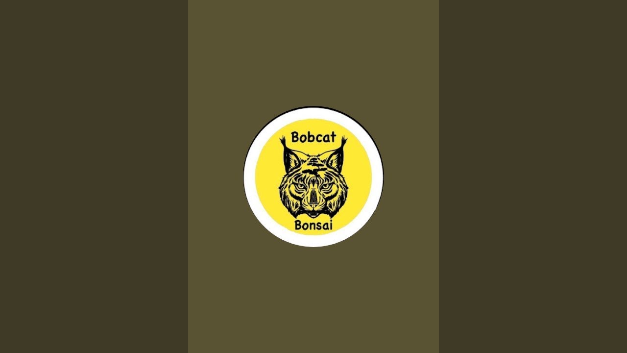 Bobcat Bonsai is live!