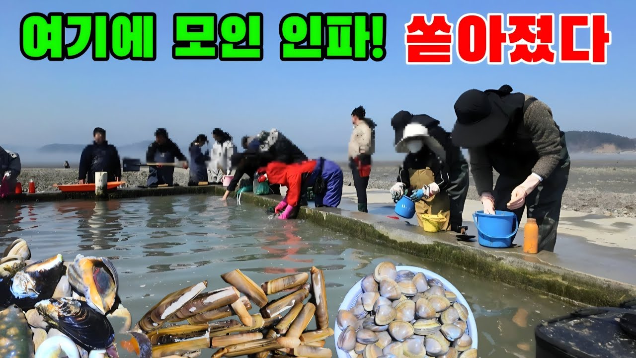 사람들이 모이는 이유가 있다 시작부터 난리난 해변!