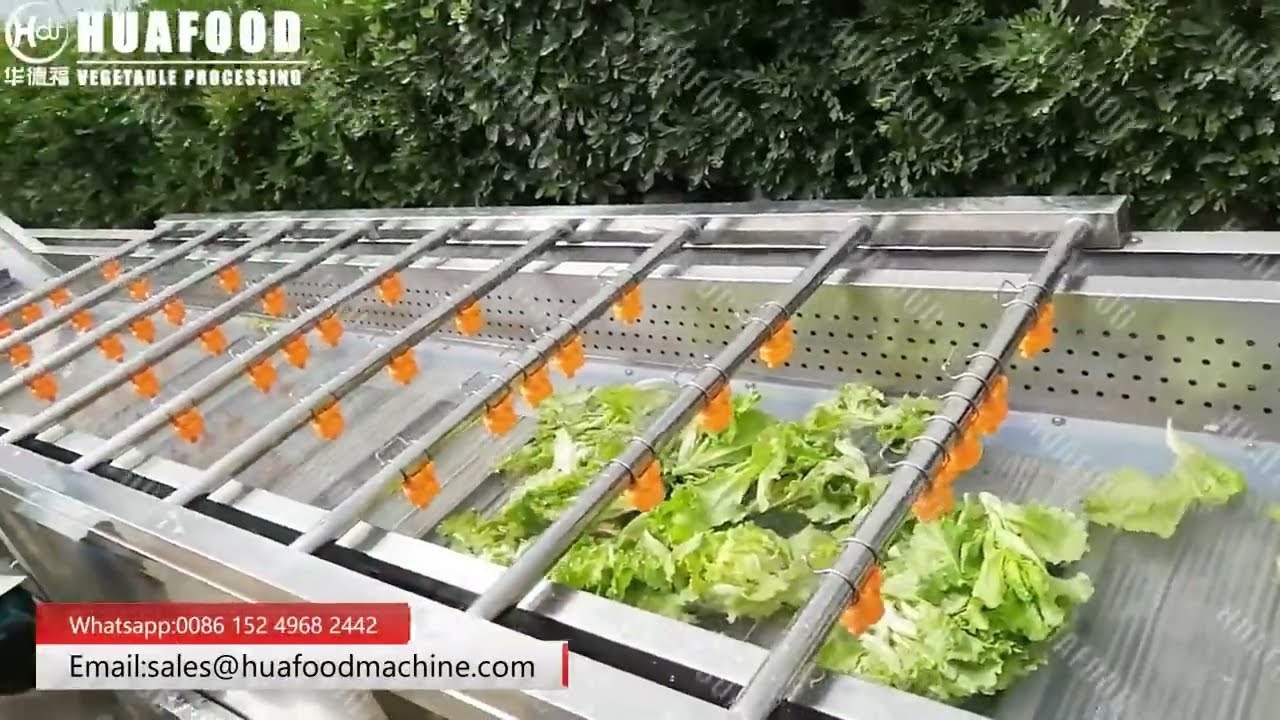 Fully Automatic Lettuce Salad Washing Drying Processing Line
