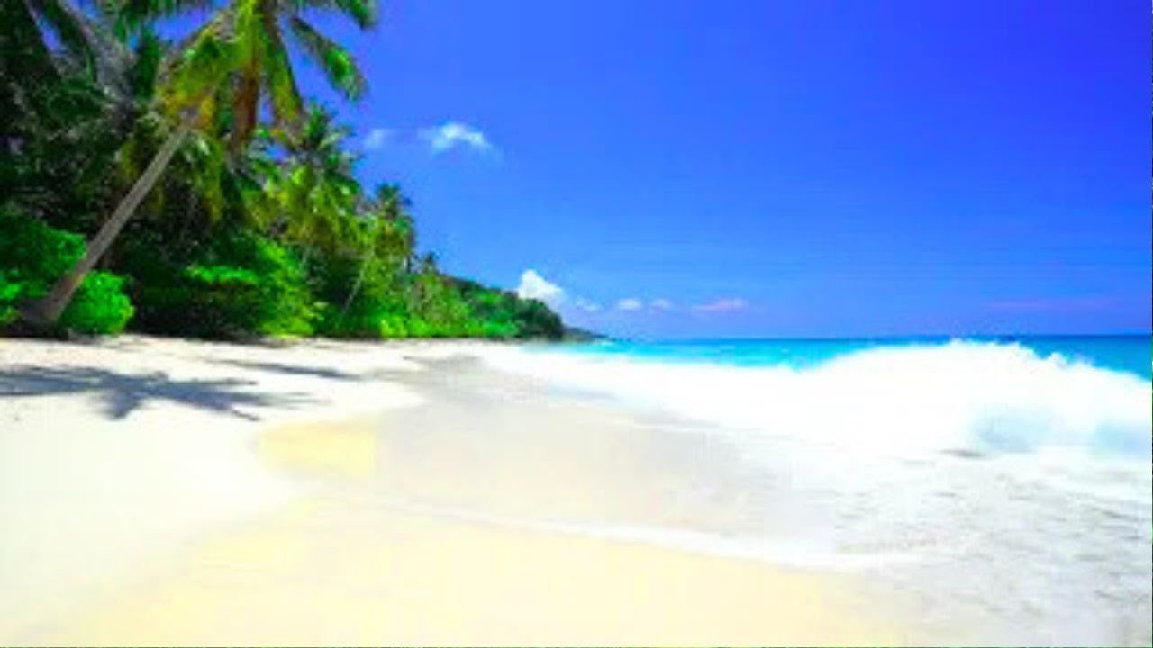 Peaceful Tropical Beach 🌊🌴 Ocean Waves for Relaxation | 4k UHD  TV Screensaver