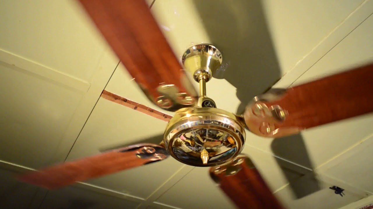 Moss (Golden Fan/View Fan) Tropical Breeze 52