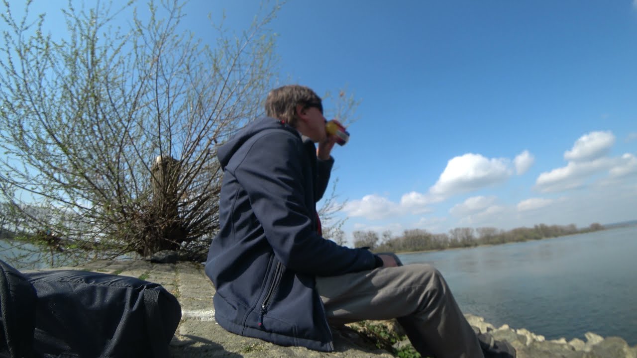 K&uuml;hkopf Teil 2 Die sch&ouml;ne Insel am Rhein