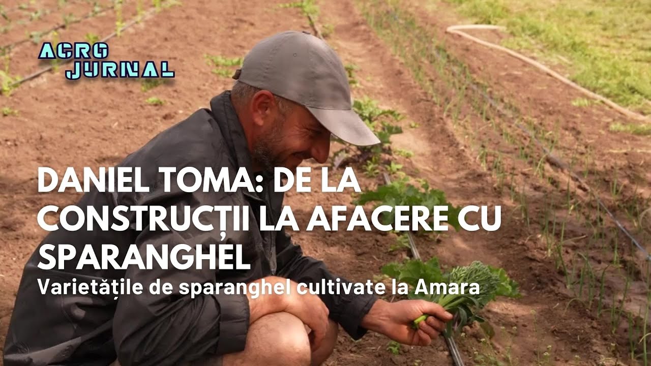 Daniel Toma: de la construcții la afacere cu sparanghel & broccolii #digi24