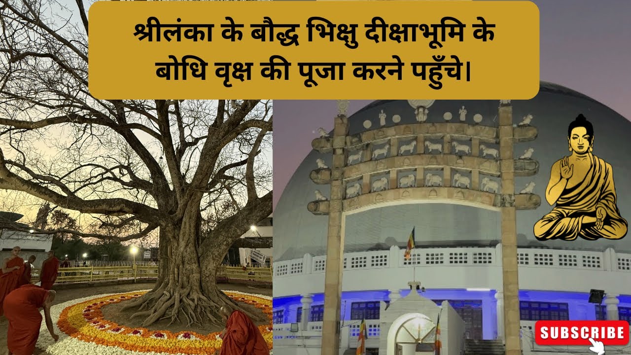 श्रीलंका के बौद्ध भिक्षु दीक्षाभूमि के बोधि वृक्ष की पूजा करने पहुँचे।